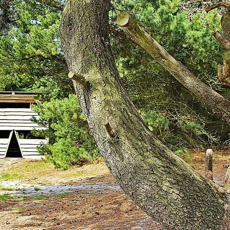 Oster-skovvej * Sønder Nissum